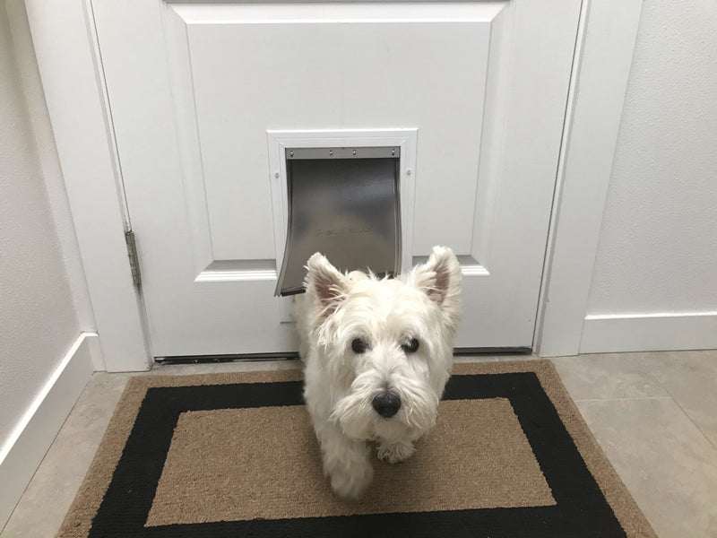 Doors with Dog Doors Built-In: A Modern and Stylish Solution for Pet Owners