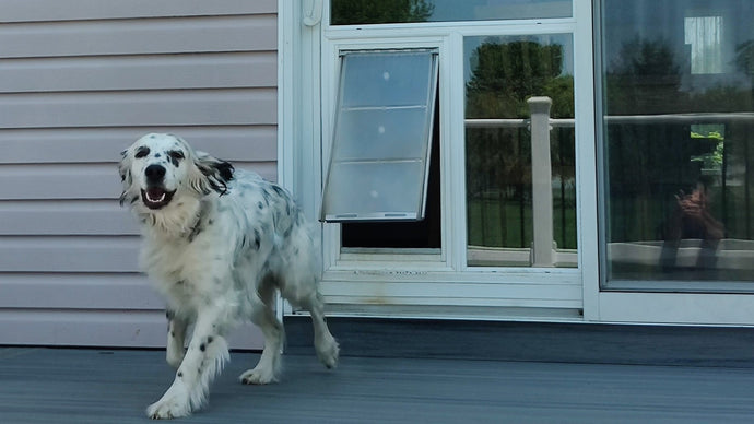 10 DIY Tips for Installing a Dog Door in Your Sliding Door