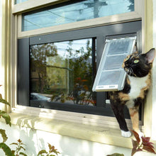 A calico cat is using a cat door installed in a window.
