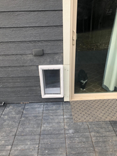 Exterior view of a pet door installed in the wall beside a sliding glass door, with a cat visible inside.