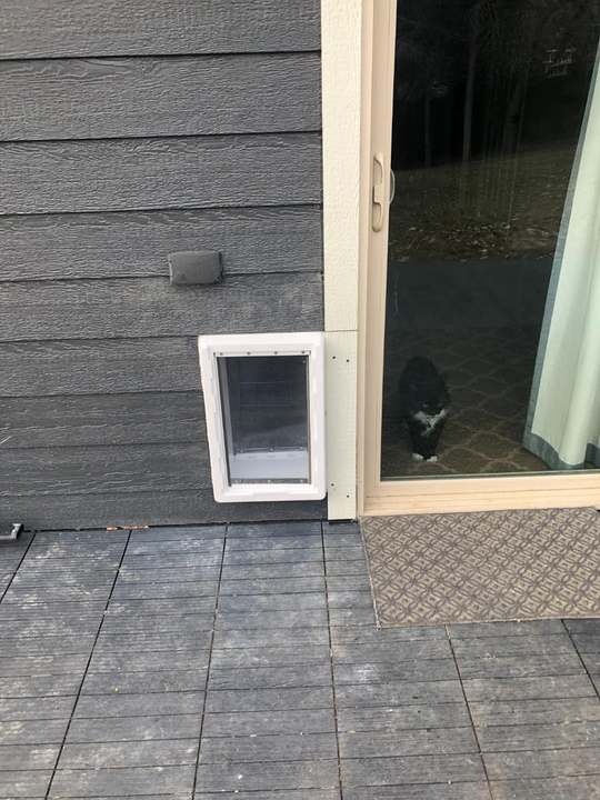 Exterior view of a pet door installed in the wall beside a sliding glass door, with a cat visible inside.