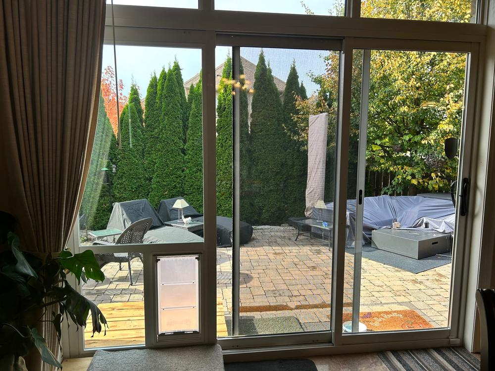 Pet Door Products In The Glass Pet Door