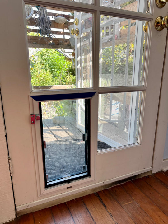 A door with a dog door insert.
