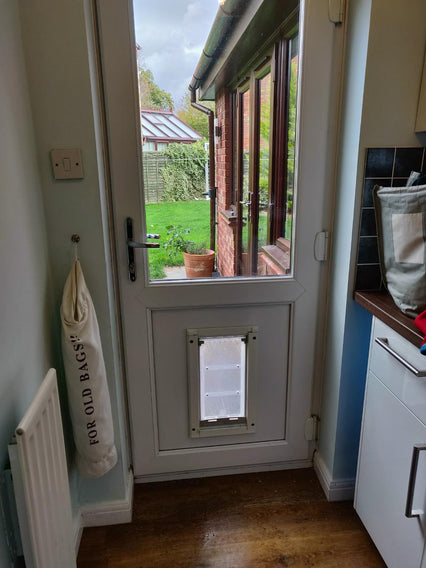 Interior view of a white door with a pet door, leading to a garden.