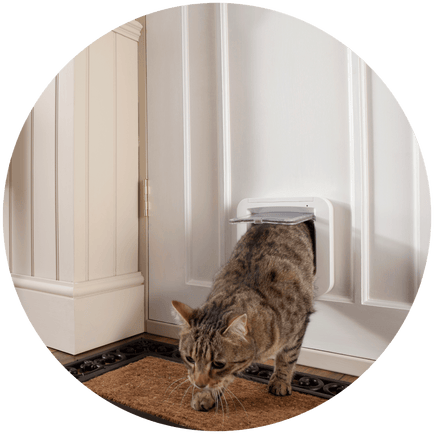 A tabby cat goes through a pet door installed in a white door.