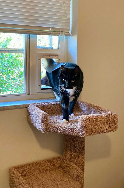 Patio Pacific Custom Horizontal Window Pet Door