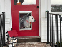 A white dog with an orange collar peers out of a small, plastic-covered window in a red door.