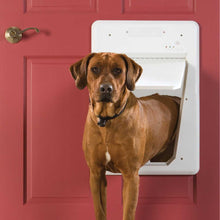 A brown dog stands in a white dog door installed in a red door.