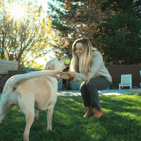 Custom Pet Door Installation