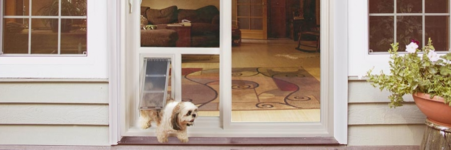 A small dog walks through a dog door in a white frame door.
