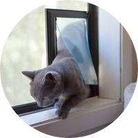 Pet Door in Screen
