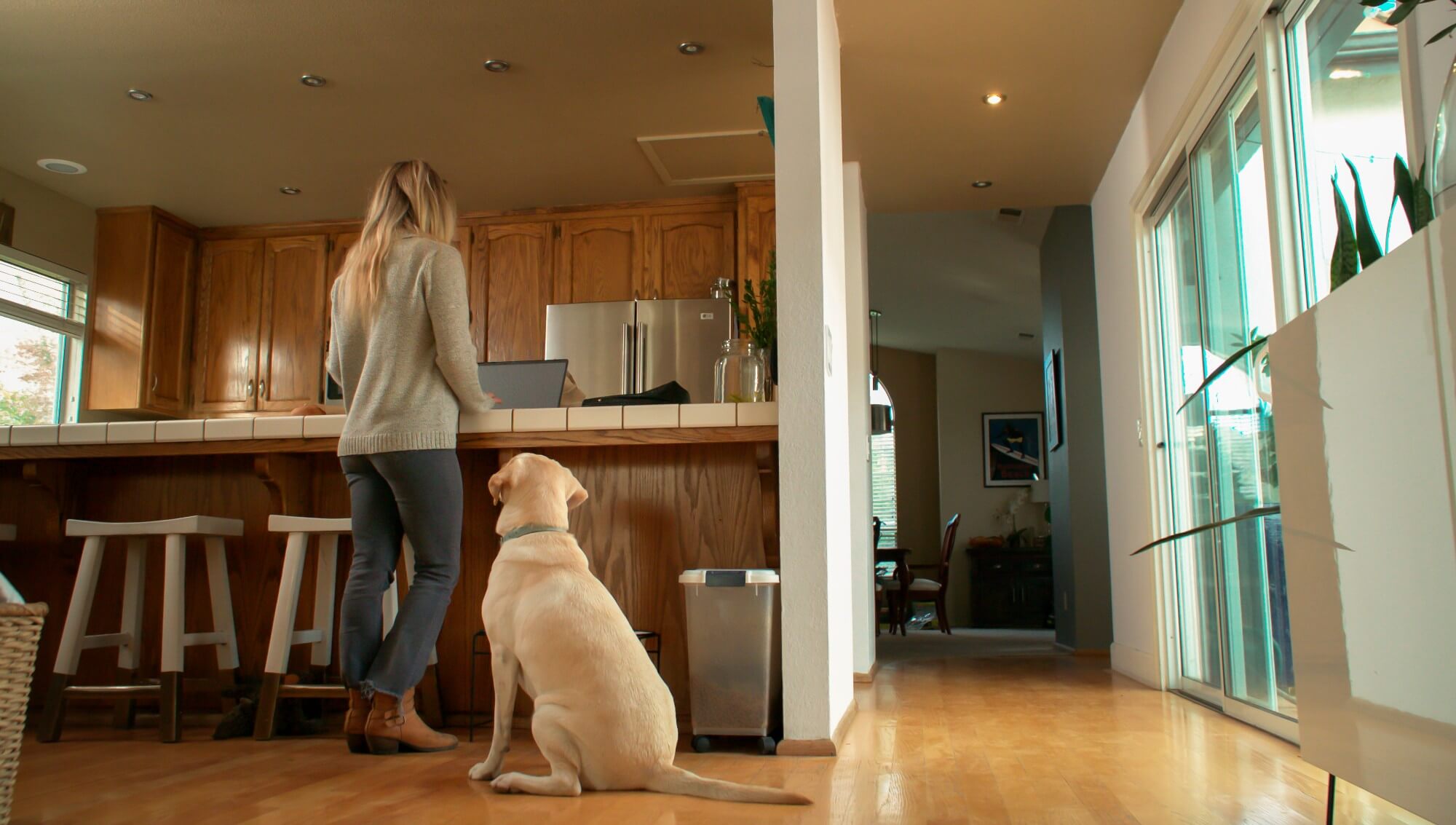 Choose from Hundreds of Carefully Vetted Pet Doors - for Homes and Pets of All Sizes