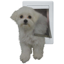 A white fluffy dog partially through a white dog door.