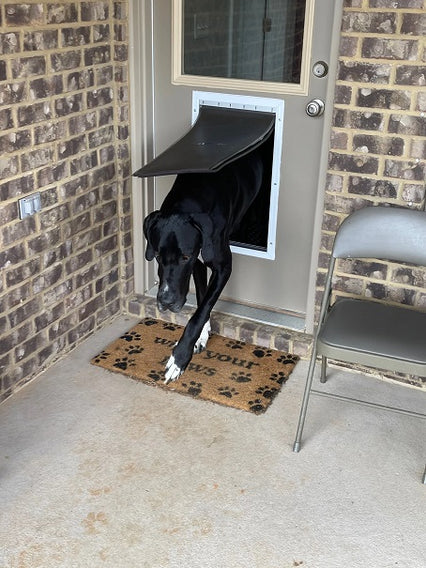 A large, black dog is going through a dog door.