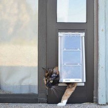 A calico cat peers through a pet door in a door.