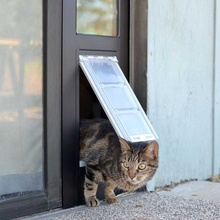 A tabby cat walks through a pet door.