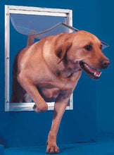 A brown Labrador dog is going through a pet door.
