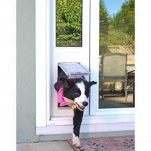 A black and white dog with a pink collar peers through a pet door installed in a glass sliding door.