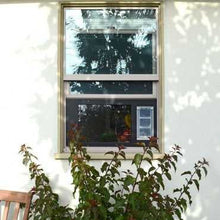 Window in a white wall, partially obscured by branches.