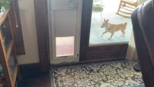 high tech power pet door