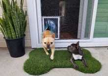 Two dogs, one emerging from a pet door and one lying on a bone-shaped turf mat, are on a patio.