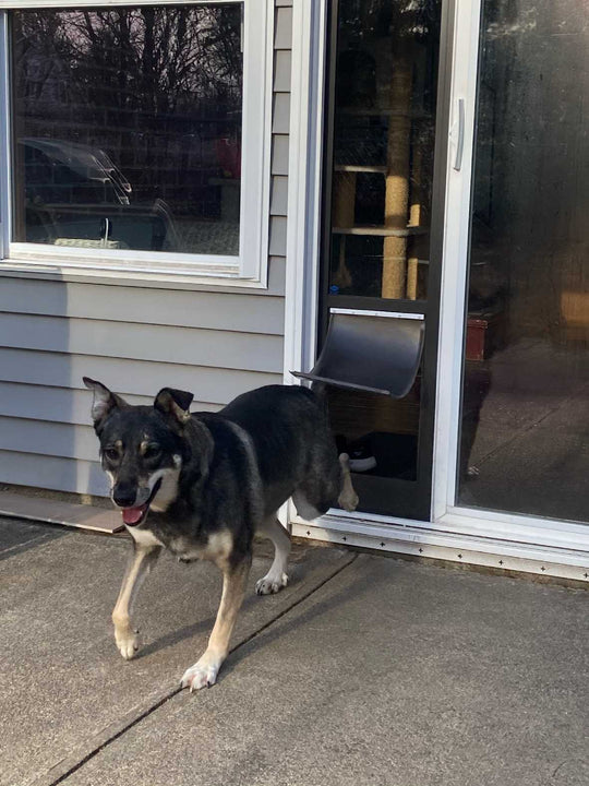 PetSafe Freedom Dog Door for Sliding Glass Door