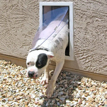 A spotted dog exits a white-framed dog door.