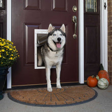 A husky dog stands halfway through a dog door in a maroon front door.