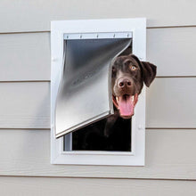 A chocolate Labrador pokes its head through a dog door.