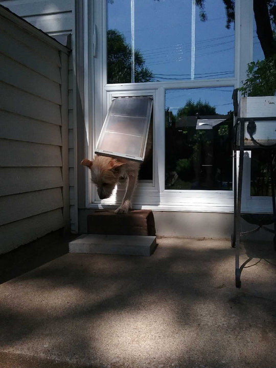 A dog is exiting a window through a dog door.