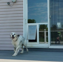 A white and black spotted dog exits a dog door on a deck.