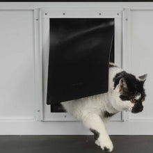 A black and white cat emerges through a black pet door.