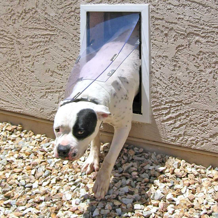 A dog with a black spot over one eye goes through a dog door.