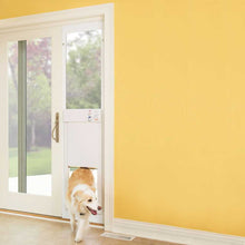 A dog walks through a pet door installed in a sliding glass door.