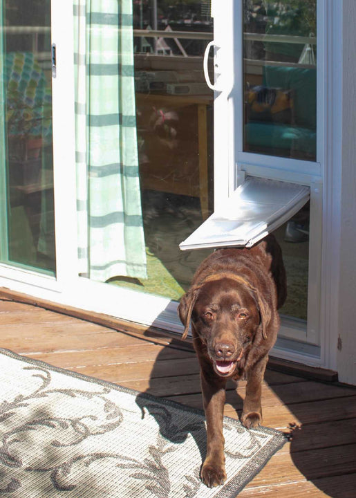 brown lab using endura flap vinyl slider panel