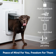 A brown Labrador Retriever exits through an electronic dog door.