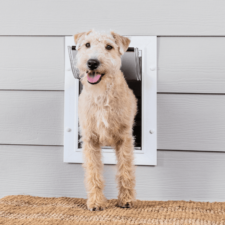 A dog is standing in a dog door.