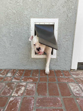 A white dog is halfway through a dog door in a textured grey wall.