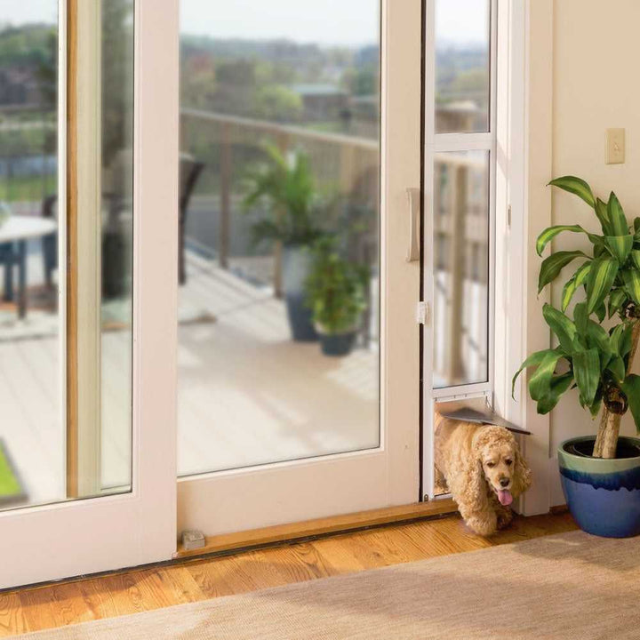 A cocker spaniel walks through a dog door installed in sliding glass doors.