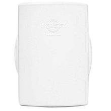 White PetSafe box.