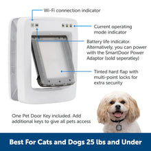 A smart pet door and a small dog are featured in this product image.