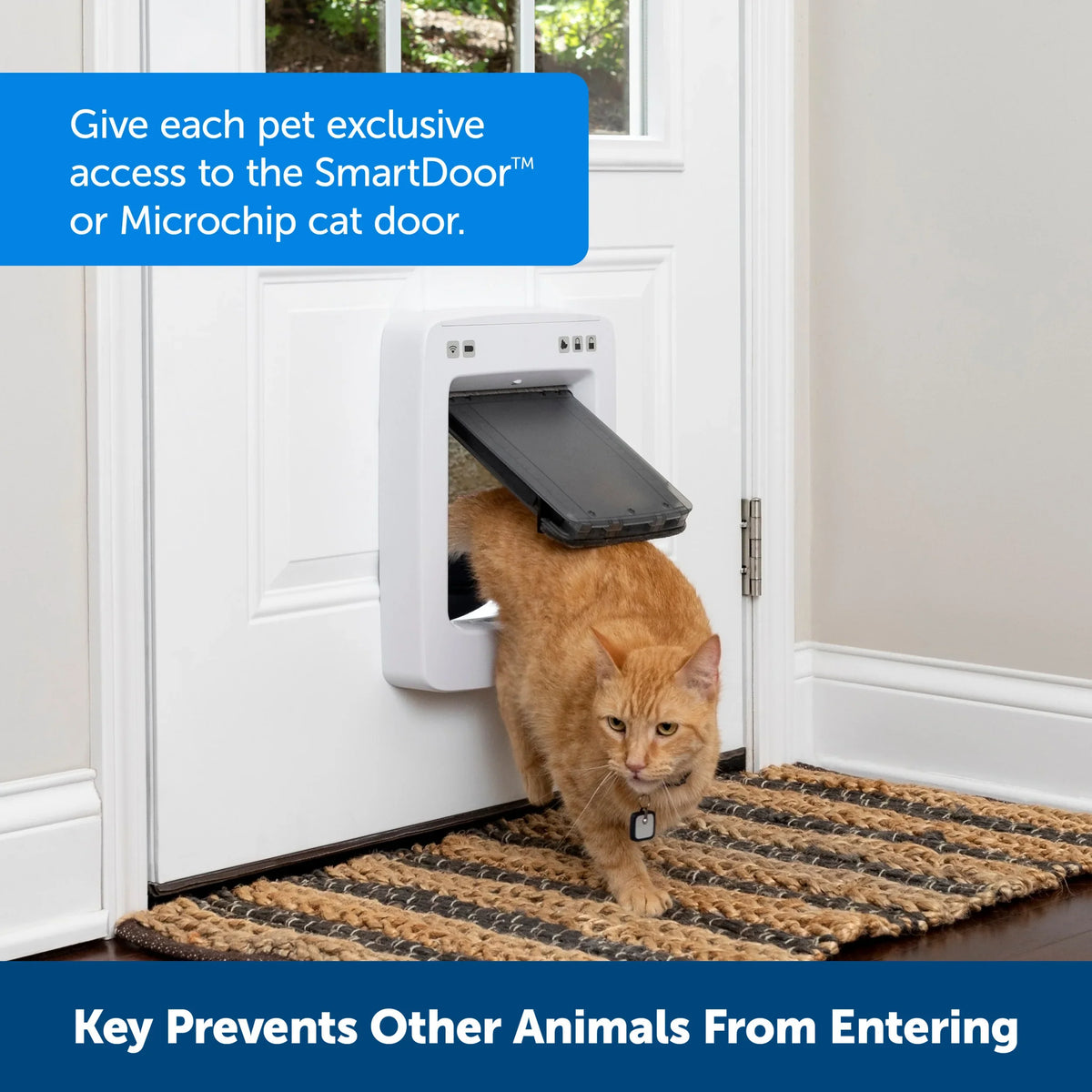 PetSafe SmartDoor SmartDoor™ Connected Pet Door Key Exclusive Access