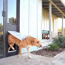A golden dog exits a house through a dog door.