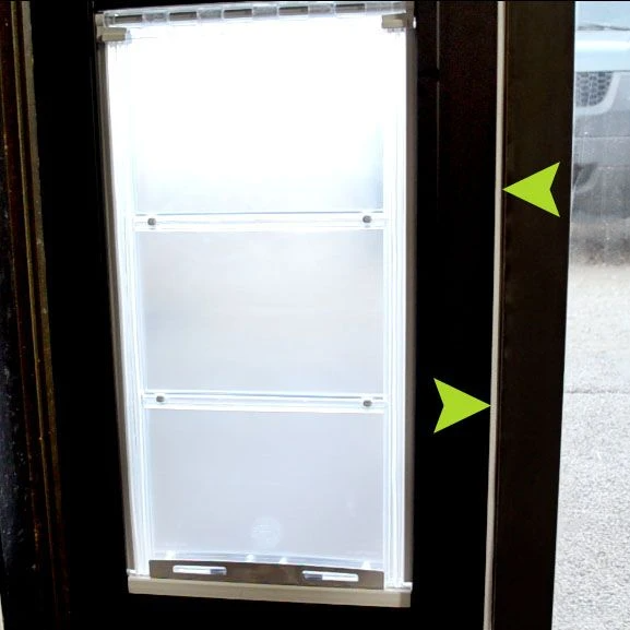 A pet door is installed in a dark-framed door.