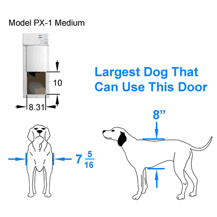 Diagram showing the measurements for the "Model PX-1 Medium" dog door and the maximum size of dog that can use it.
