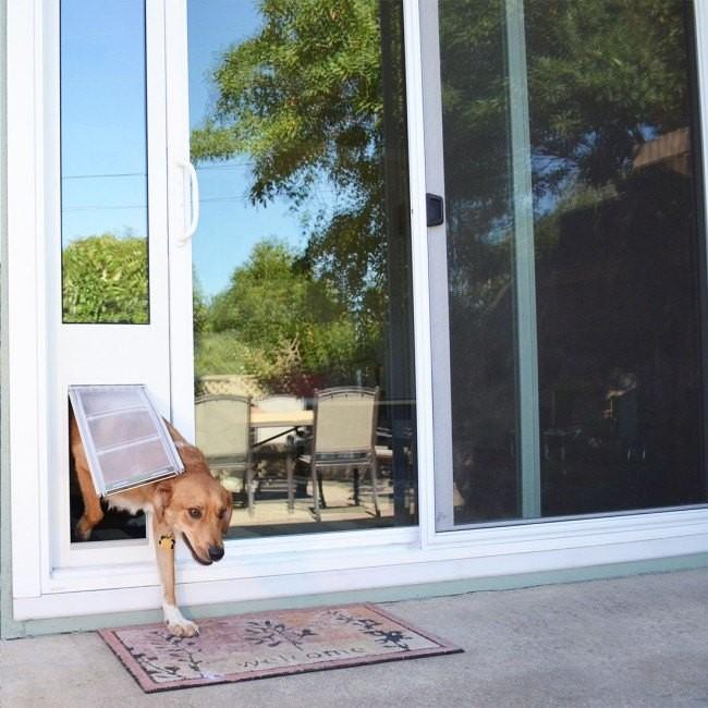 How to Install a Dog Door in a Glass Door