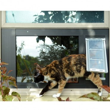 A calico cat walks through a pet door installed in a window.