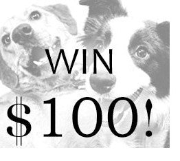Two dogs with overlaid text "WIN $100!"