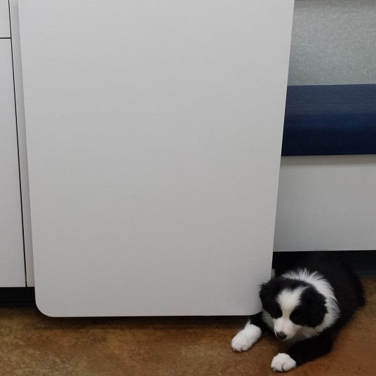 A black and white puppy lies on the floor next to a white cabinet.