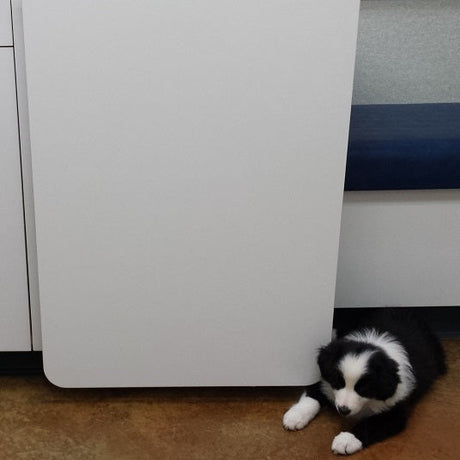 A black and white puppy lies on the floor next to a white cabinet.